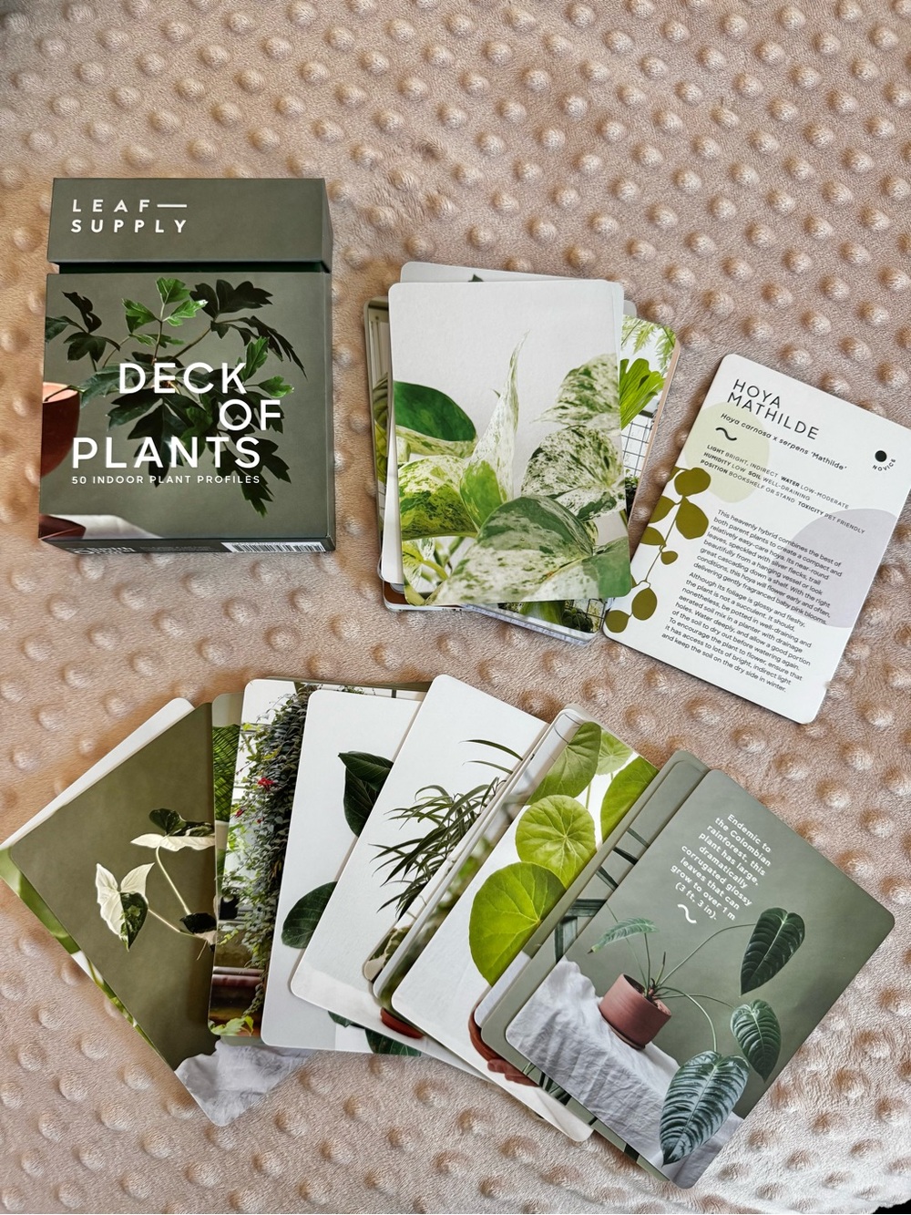 Deck of Plants — Green Indoor Plant Profile Deck - Picture 4 of 6